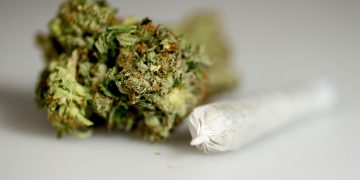 În loc de Neversea, patru tineri au ajuns în arest. Aveau 10 kg de cannabis în bagaje