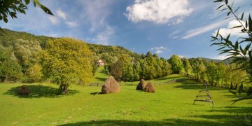 Agricultorii maramureșeni trebuie să fie atenți. Încep controalele