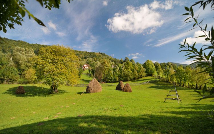 Agricultorii maramureșeni trebuie să fie atenți. Încep controalele