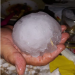 Fenomene meteorologice extreme. Grindină cât portocala