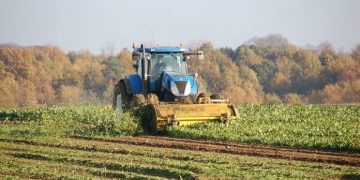 Fermierii vor putea beneficia de câte 15.000 euro pentru dezvoltarea exploatațiilor agricole de mici dimensiuni
