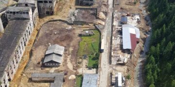 Poliția Română desfăşoară în Maramureş aspre controale pentru combaterea tăierilor ilegale de arbori din fondul forestier național