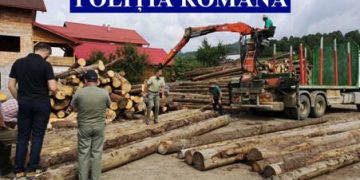 Acţiune de amploare a poliţiştilor maramureşeni pentru prinderea hoţilor de lemne! – foto