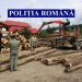 Acţiune de amploare a poliţiştilor maramureşeni pentru prinderea hoţilor de lemne! – foto