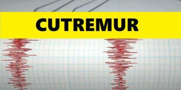 S-a cutremurat Los Angeles