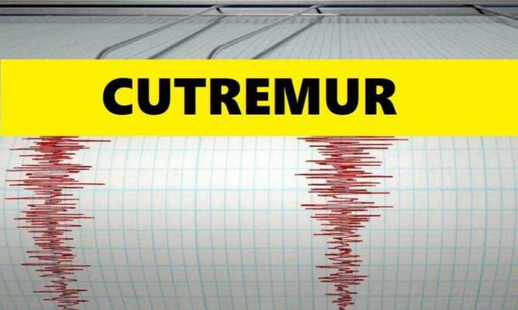 S-a cutremurat Los Angeles