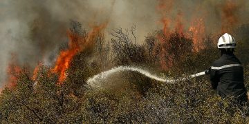 Mii de hectare de culturi şi vegetaţie distruse de incendii în Franța, din cauza caniculei