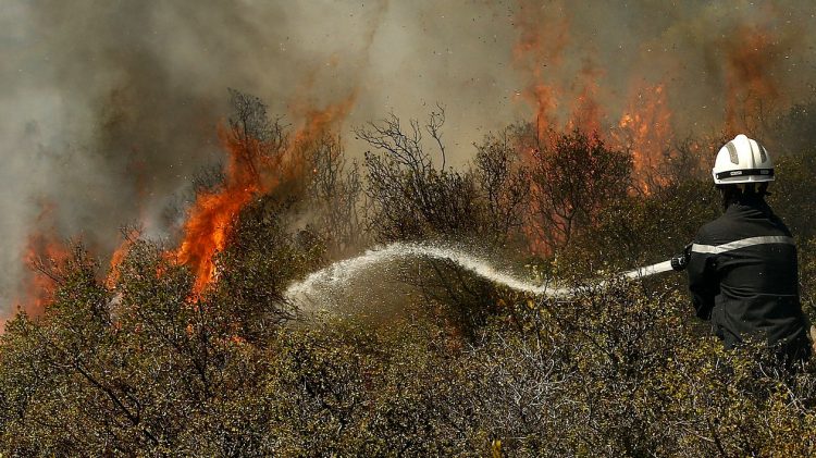 Mii de hectare de culturi şi vegetaţie distruse de incendii în Franța, din cauza caniculei
