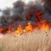Alertă MAE pentru românii care sunt în Grecia sau vor să călătorească în această ţară. Risc ridicat de incendii în Rhodos