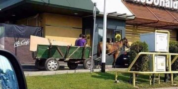 Poza zilei: Nu-i Merțanu` ca și căruța