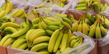 Cocaină în cutii de banane, ajunsă în România prin Bulgaria