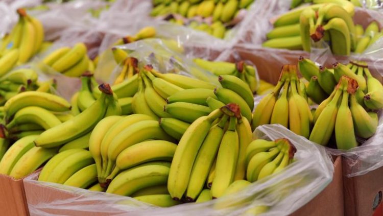 Cocaină în cutii de banane, ajunsă în România prin Bulgaria