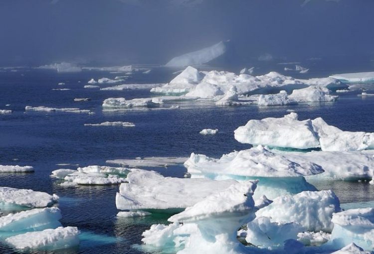 TEMPERATURI DE 34 DE GRADE LA CERCUL POLAR