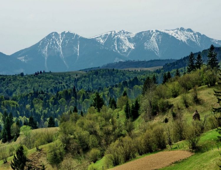 Drumețiile la munte au efecte miraculoase, controlează diabetul și previn anumite tipuri de cancer