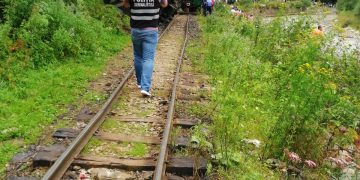 Incident pe Valea Vaserului. Vagon al Mocăniței, deraiat!