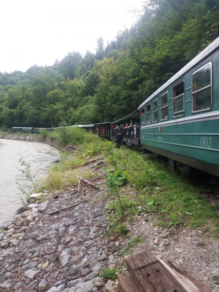 Mocănița și-a reluat traseul. Ce se întâmplă acum pe Valea Vaserului – FOTO