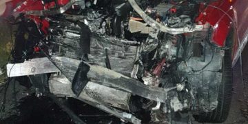 Urs lovit mortal de 4 maşini pe autostrada Sibiu-Deva