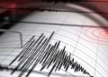 Două cutremure s-au produs în România, la trei ore distanţă unul de celălalt
