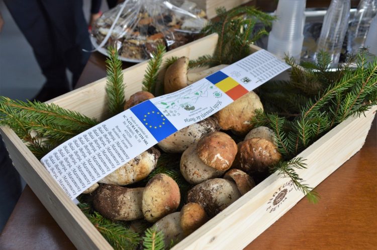 Festivalul hribilor din Borșa a ajuns la a II-a ediție. Ambasadorul Italiei în România în vizită la societatea Natura Betim