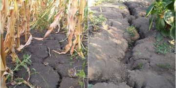 Vremea 28 august – 23 septembrie 2019. Se accentează un fenomen periculos în aproape toată ţara