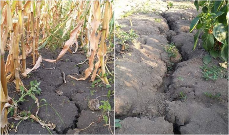 Vremea 28 august – 23 septembrie 2019. Se accentează un fenomen periculos în aproape toată ţara