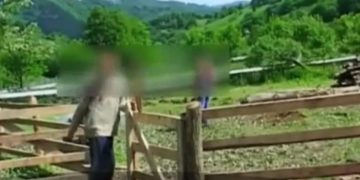 Polițiștii din zonă știau de cazul copiilor sedați și torturați în tabăra din Vișeu de Sus