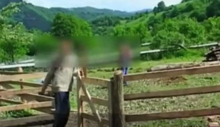 Polițiștii din zonă știau de cazul copiilor sedați și torturați în tabăra din Vișeu de Sus