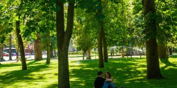 Parcul Central din Cluj, modernizat de Untold