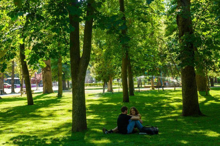 Parcul Central din Cluj, modernizat de Untold