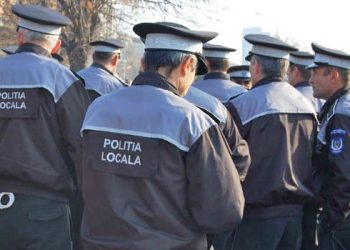 Poliția Locală Baia Mare face angajări. Vezi ce posturi sunt disponibile
