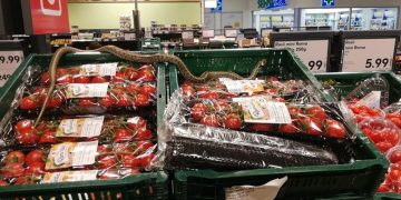 Apariție de infarct într-un magazin Kaufland