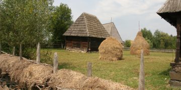 Se caută povești de succes ale tinerilor din mediul rural