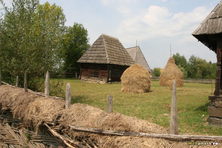 Se caută povești de succes ale tinerilor din mediul rural