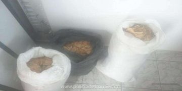 Maramureşean, prins la Petea cu 37 kg de tutun de contrabandă