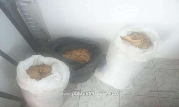 Maramureşean, prins la Petea cu 37 kg de tutun de contrabandă