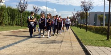 Dep. dr. Viorica Cherecheș: „Educația, o prioritate pe care nu și-o asumă nimeni!”