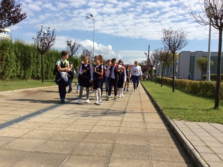 Dep. dr. Viorica Cherecheș: „Educația, o prioritate pe care nu și-o asumă nimeni!”