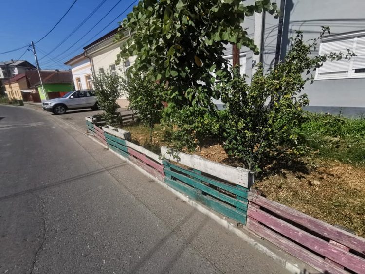 Noaptea minţii. Sigheteancă amendată pentru că a protejat spaţiul verde