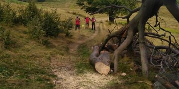 Salvamontiștii maramureșeni solicitați la o intervenție specială – FOTO