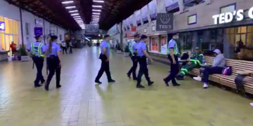 Razie în Gara Baia Mare. Polițiștii verifică alte două stații CFR din Maramureș – VIDEO