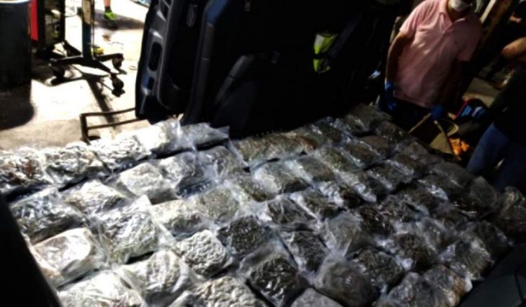 Doi fraţi români, arestaţi după ce au fost prinși cu 31 kilograme de droguri pe un feribot în Malta