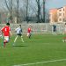 FOTBAL – TURNEUL SPERANŢELOR – Satu Mare vs Maramureş 2-2