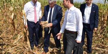 Gabriel Zetea (PSD): ”Legea Vânătorii va fi dezbătută de urgență în Parlamentul României” – FOTO