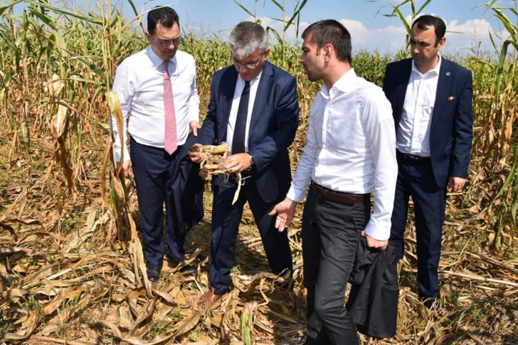 Gabriel Zetea (PSD): ”Legea Vânătorii va fi dezbătută de urgență în Parlamentul României” – FOTO