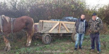 Aproximativ 21.200 pachete cu țigări confiscate la frontiera de nord