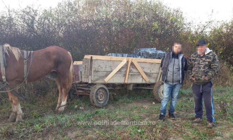 Aproximativ 21.200 pachete cu țigări confiscate la frontiera de nord