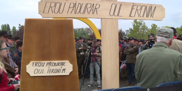 Pădurarii ies în stradă. Vor protesta în fața Camerei Deputaților