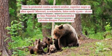 Protest contra vânării urșilor!