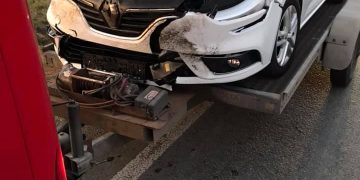 Porci mistreți pe drumurile din Maramureș