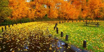 Vremea va fi frumoasă şi deosebit de caldă în următoarele zile